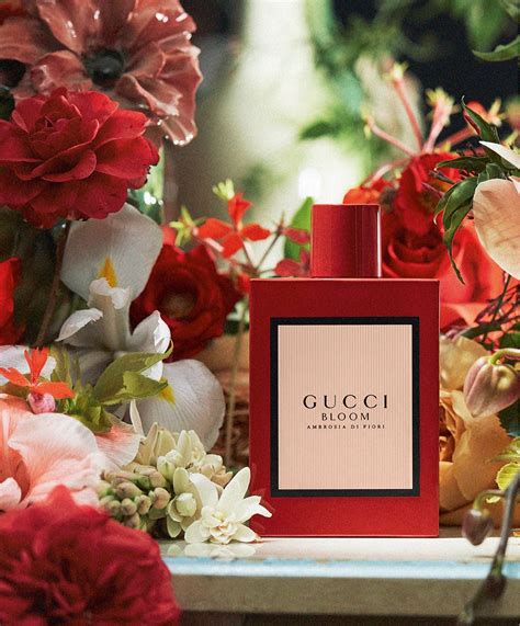 profumo gucci bloom ambrosia di fiori|Gucci Bloom intense fragrantica.